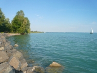 Balatonkenesei Borsatanya környéke